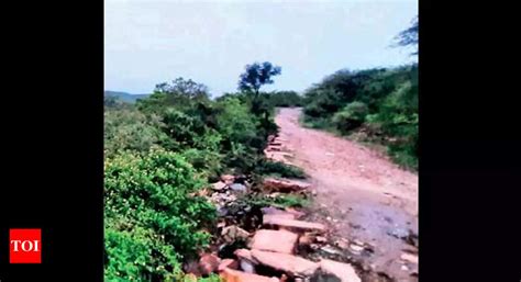 Galta: Rajasthan government plans to develop Galta forests as .